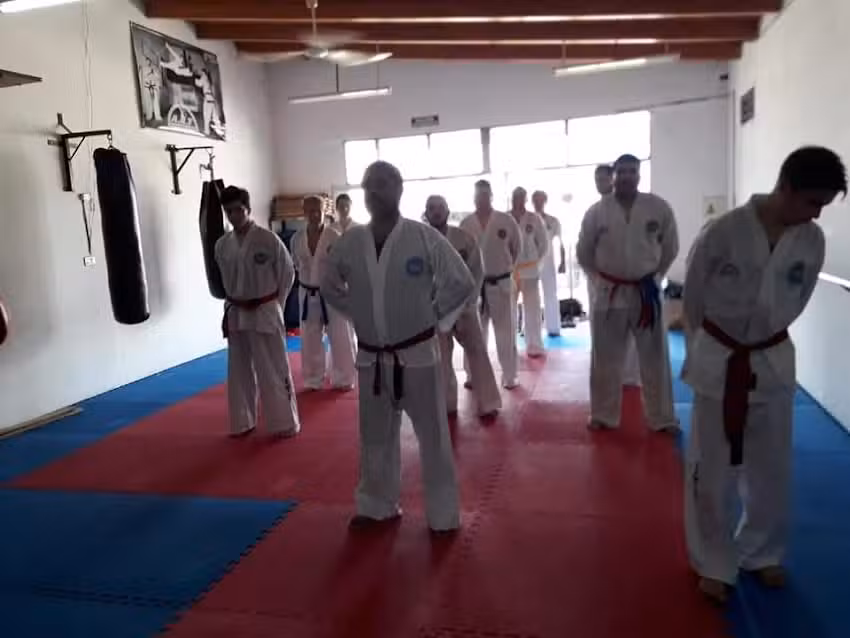 Taekwondo &ndash; taem yong