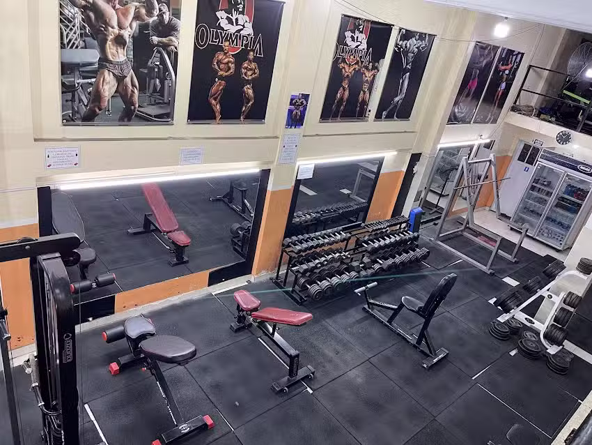 TAURUS GYM