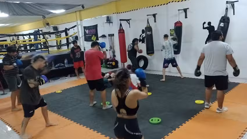 Team Bielli (Centro de entrenamiento deportes de contacto)