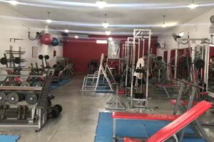 Teseo Gym