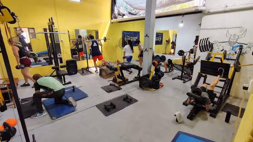 THOR GYM