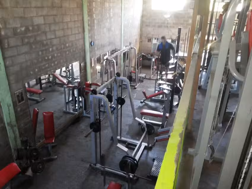 Tortugas GYM