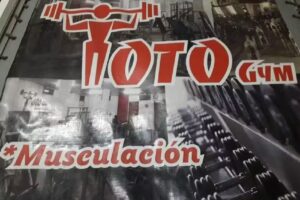 Toto Gym