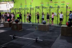 Tribu Evoluci&oacute;n