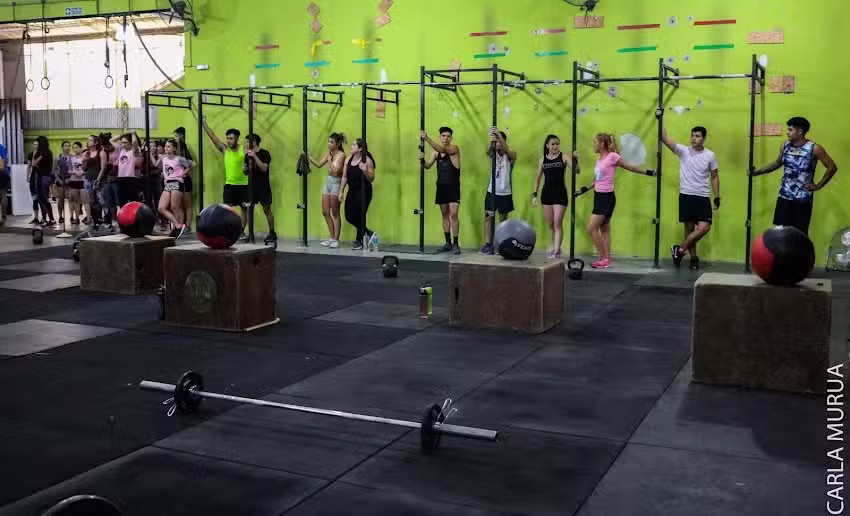 Tribu Evoluci&oacute;n