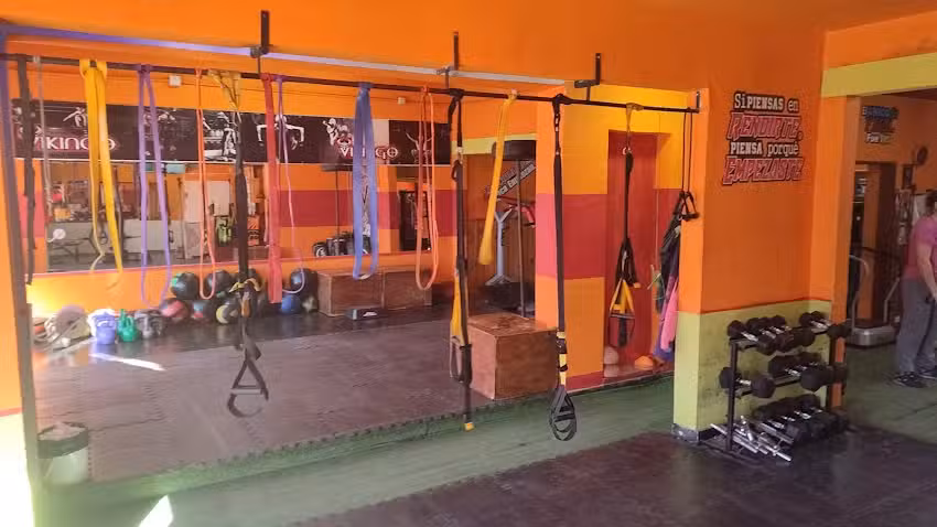 Vikingo Gym