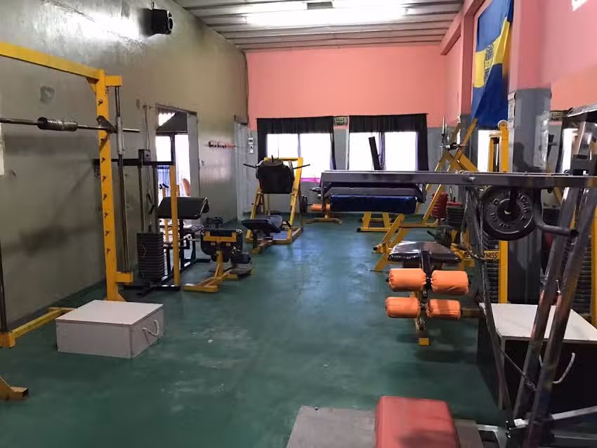 Viv&iacute; gym