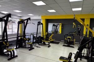 Wald Gym zone