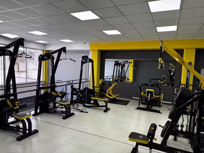 Wald Gym zone