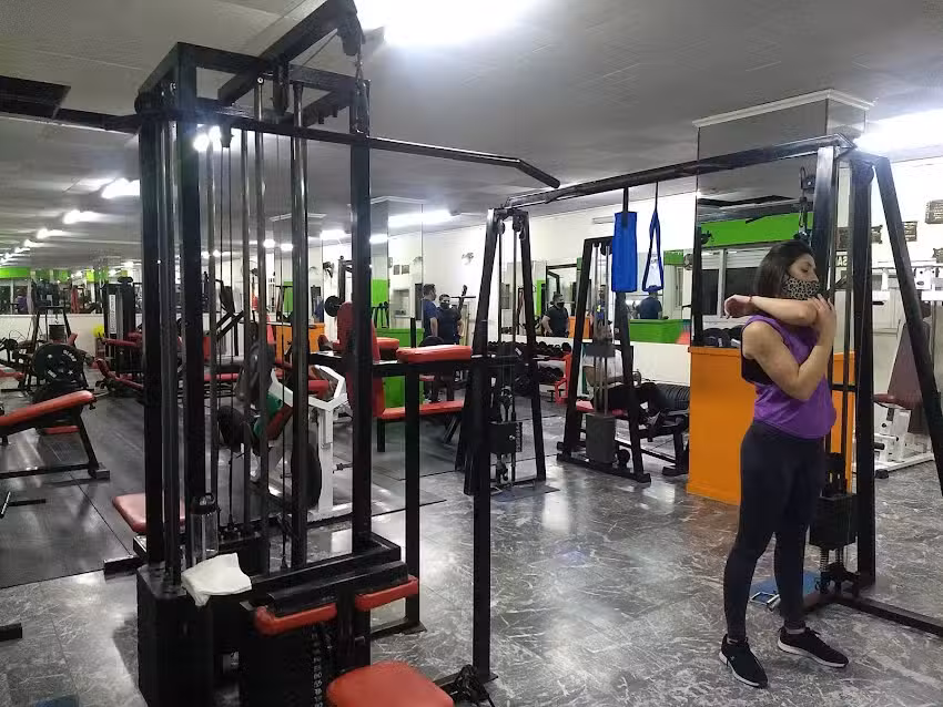 WELLNESS GIMNASIO