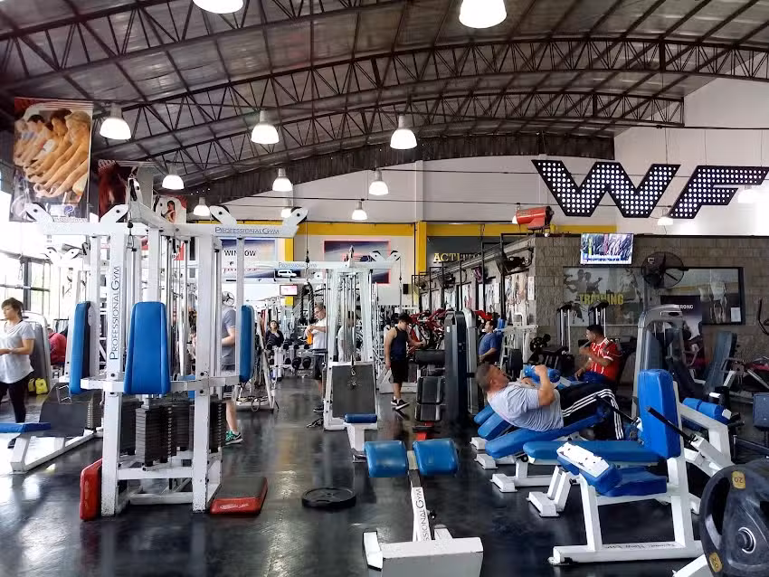 WINDOW Fitness Gimnasio