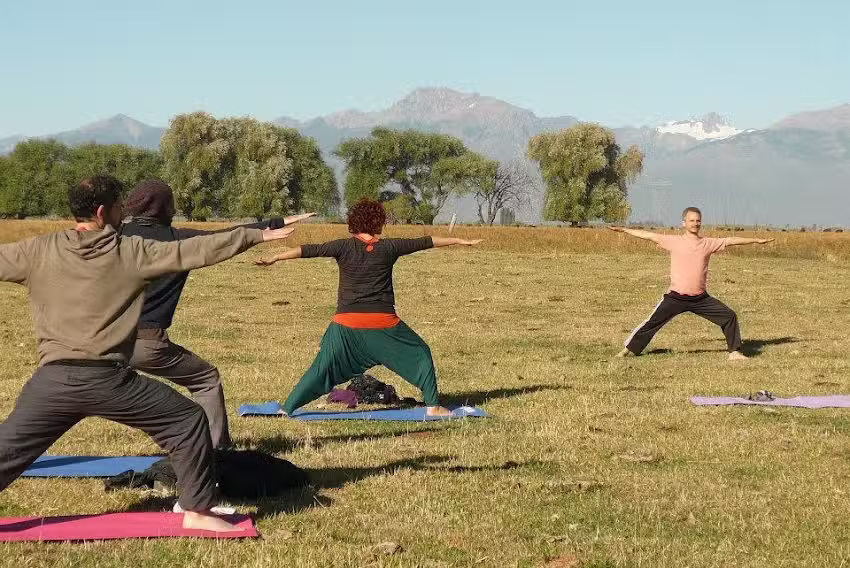 YOGA Damian L&ouml;w