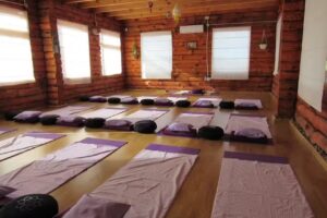 YOGA DESHA ALUMIN&Eacute;