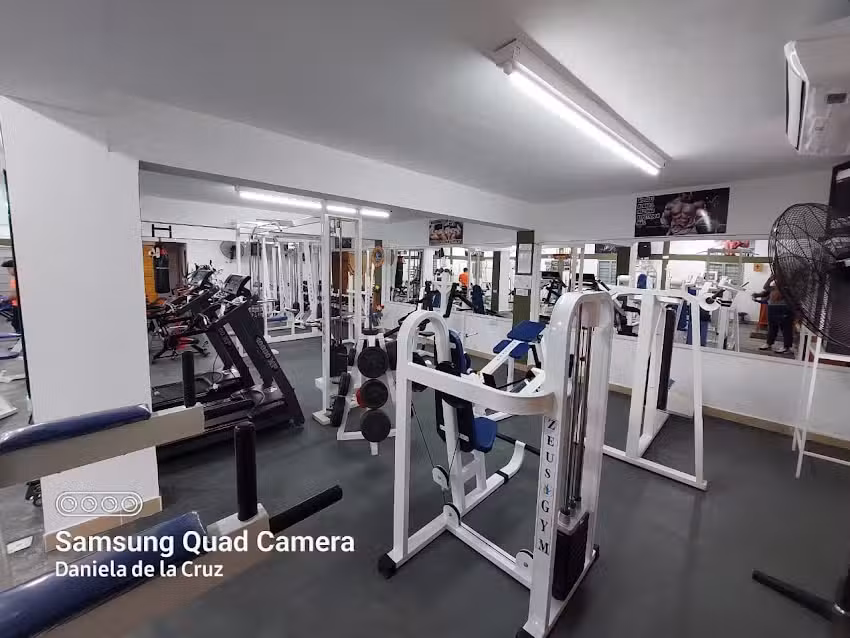 Zeus Gym