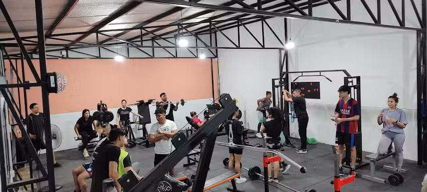 ZF GYM