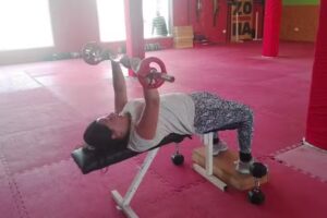 Zona Fitness Gym Y Artes Marciales